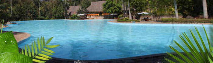 Madagui Forest Resort